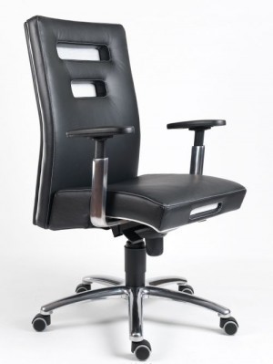 Luxusní kožené křeslo Luxusní kožené křeslo